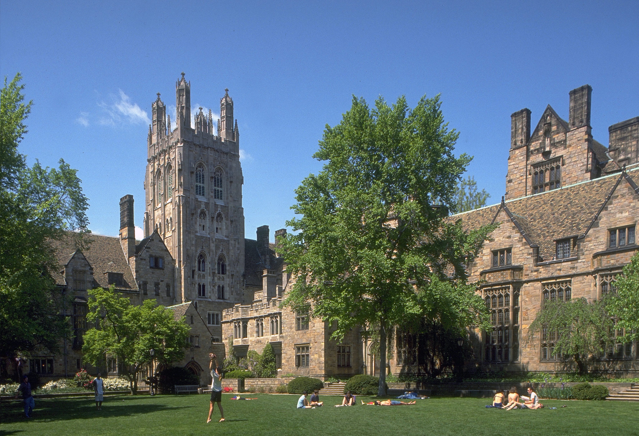 Top colleges with no supplemental essay
