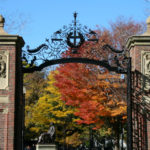 yale admission essays that worked