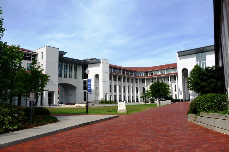 Emory admission essays