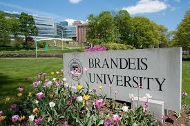 brandeis university essay examples