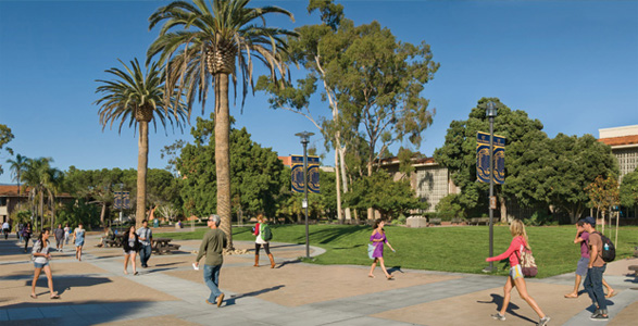 UC Santa Barbara Acceptance Rate: What Does It Take to Get In?