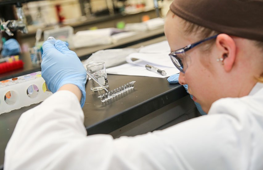 The List of All U.S. Colleges With a Biochemistry Major